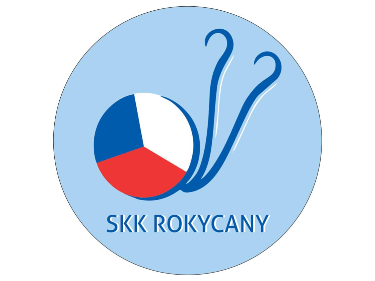 Mimořádná valná hromada